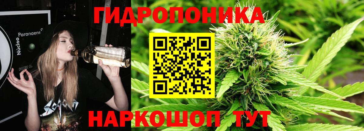 Шишки марихуана White Widow  Конопля Amnesia  Узловая  Бошки Шишки тримм  Канабис White Widow  Вход с VPN 
